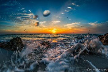 Back to the Beach - Free image #356463